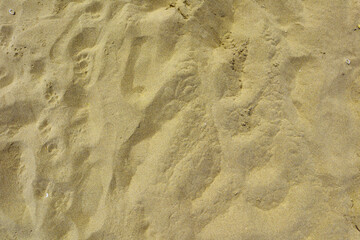 Texture of the sand on the beach as a background