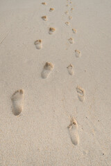 footprints in sand