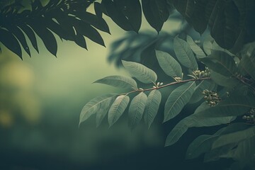 Wide format, copy space, atmospheric image in calming subdued dark green tones. Natural background border with fresh juicy leaves in soft focus outside in nature. Generative AI