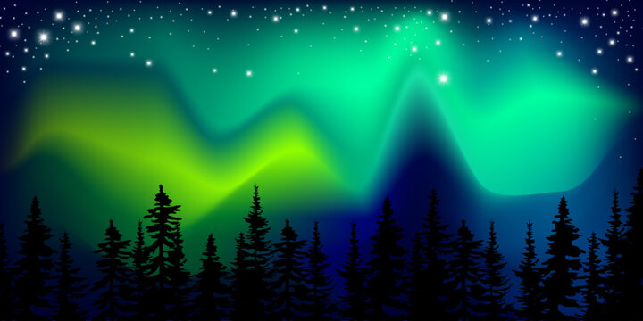 northern lights forest. Natural background. Vector illustration.