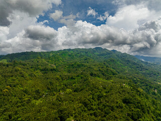 Fototapeta na wymiar Mountains and hills with green vegetation and trees in the tropics. Negros, Philippines