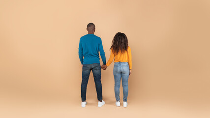 Back rear view of black spouses holding hands and looking at empty wall, standing on beige...