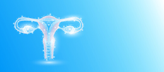 Female uterus anatomy form line triangles connecting on blue background. Futuristic glowing organ hologram translucent white and copy space for text. Medical anatomical concept. Modern design vector.