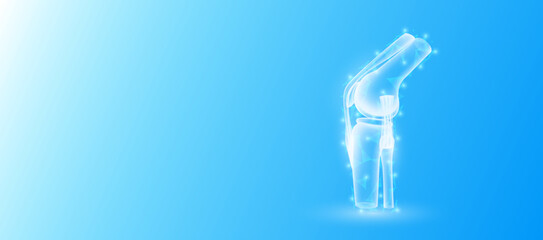 Human bone joint anatomy form line triangles connecting on blue background. Futuristic glowing organ hologram translucent and copy space for text. Medical anatomical concept. Modern design vector © Adisak
