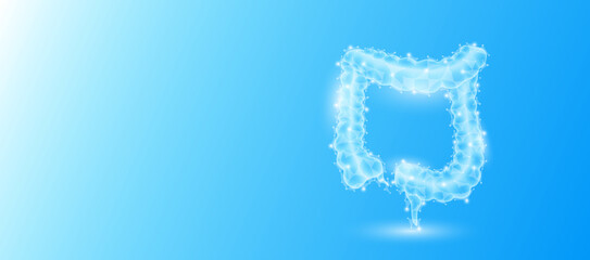 Human intestine anatomy form line triangles connecting on blue background. Futuristic glowing organ hologram translucent and copy space for text. Medical anatomical concept. Modern design vector.