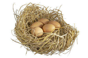 Close-up natural brown chicken eggs lay on a bed of fluffy straw, chicken's nest.