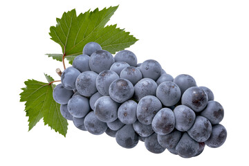 Kyoho Grape isolated on white background with clipping path. Black Wine grape with leaves