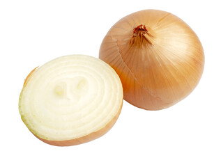 Fresh Raw Bulb Onions in whole and cut half.