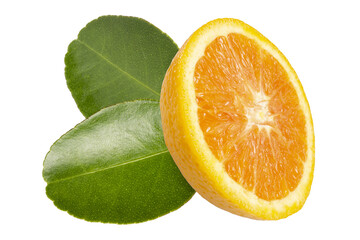 Sliced Organic Fresh Ripe Grapefruit with green leaves.