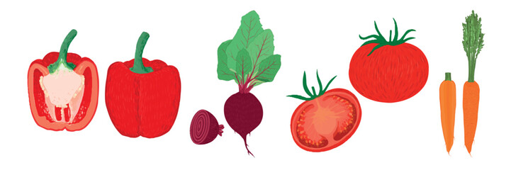 Set of red bright vegetables collection hand-drawn. Vector illustration of pepper, beetroot, tomato, carrot. Isolated on a white background.