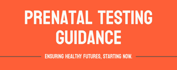 Prenatal testing guidance: Guidance on prenatal testing options and their benefits and risks to help make informed decisions.