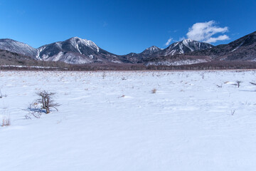 戦場ヶ原の山並