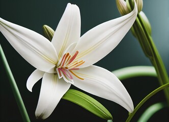 Fototapeta premium white lily flower, generative AI