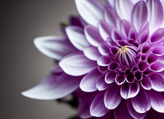 purple dahlia flower, generative AI