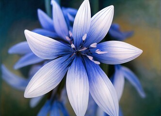 white flower on blue, generative AI