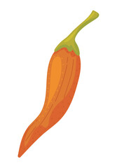 chili leaf nature icon