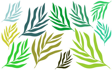 Obraz premium Tropical leaves collection. Vector isolated element on white background. Tropical leaf wallpaper, luxury nature leaf pattern design, hand drawn outline design for fabric