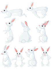 Cute rabbit cartoon character collection