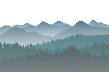 Fototapeta premium winter forest background. Pine forest landscape. Forest pine park. Fog and haze forest landscape.