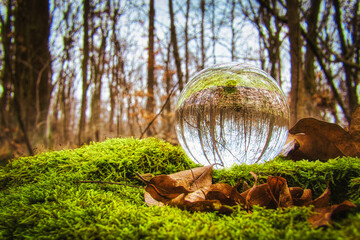 Lensball - Natur - Transparenz - Zerbrechlich - Ecology - Glass Sphere - Bioeconomy - High quality photo	
