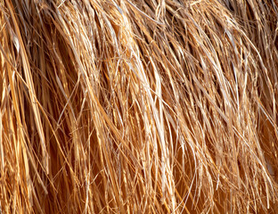 Dry hay as an abstract background.