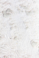 White volcanic limestone rock as background.