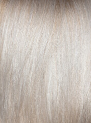 Blond hair as an abstract background.