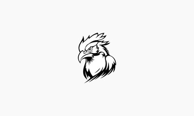 hawk vector concept design logo