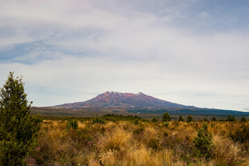 Fototapeta na wymiar Mount Ruapehu New Zealand North Island