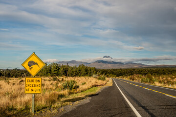 Kiwi Crossing In New Zealand