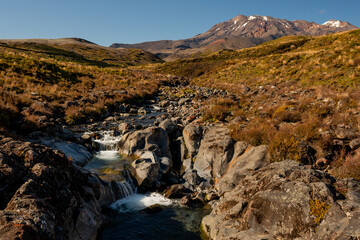 Teranaki Falls Hiking Track