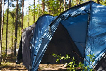Touristic tent in forest. Family camping concept