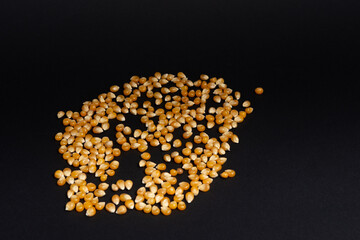 Corn grains for making popcorn on a black background.