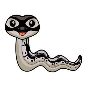 Cute happy python snake cartoon