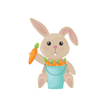 Rabbit with a bucket of carrots. A cute rabbit is sitting with a bucket of carrots. A rabbit holds a carrot in its paws. Vector illustration
