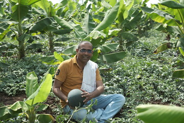 young Seniour man checking unripe watermelon in summer season. shallow depth of field , follow focus, or blur