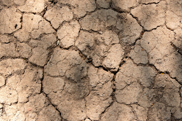 Wall texture soil dry crack pattern of drought lack of water of nature brown old broken background.