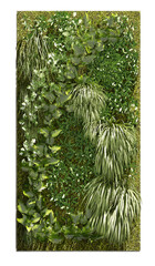 3D illustration Vertical Garden plant