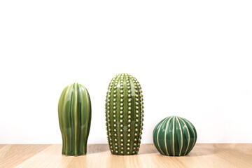 Isolated cactus on white background