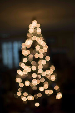 Defocused image of illuminated Christmas tree