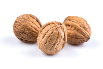 Dried walnut