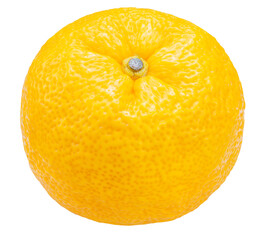Yuzu Orange fruit on White backghround. Sweet Yuzu Orange fruit isolate on white PNG File.
