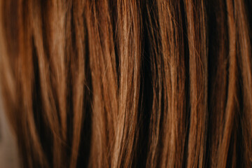 Close up of brunette or brown hair. Female long brown hair. Background with copy space. Selective focus.
