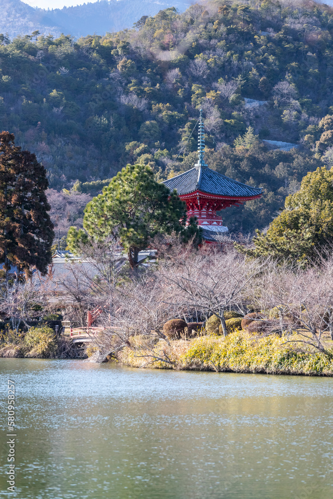 Poster temples around kyoto area in japan.