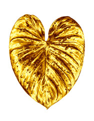Golden leaf, water drops white background isolated closeup, gold leaves, yellow metal foliage, petal illustration, decorative plant design element, floral branch pattern, beautiful vintage decoration © Vera Shestak
