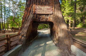 Tunnel Road at Chandelier, California