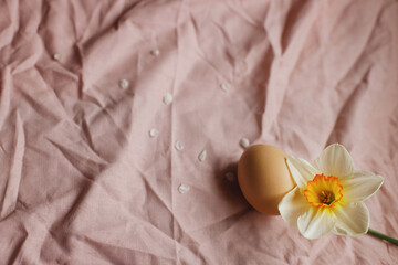 Natural egg and blooming daffodil flower on pink fabric background. Happy Easter! Rustic easter still life. Space for text