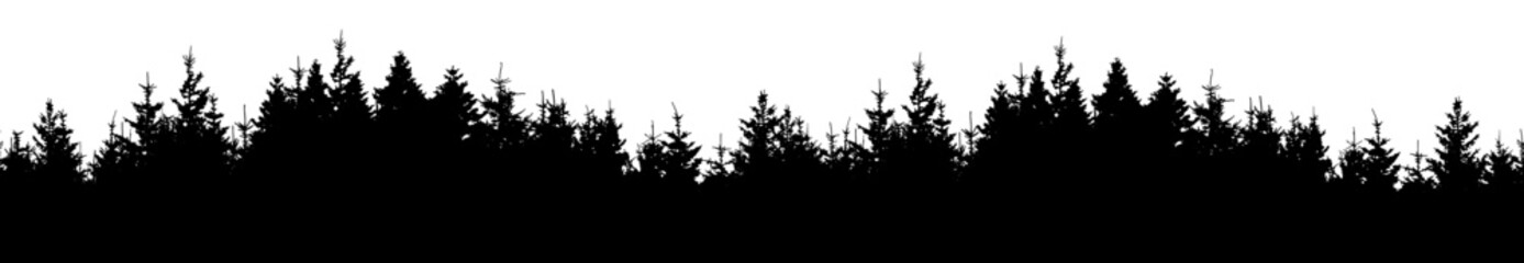 Realistic forest vector illustration wide panorama landscape - Black silhouette of fir and spruce woods trees, isolated on white background long