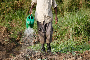 Farmer Apollo Byarunga received 2 loans from ENCOT microfinance. Uganda