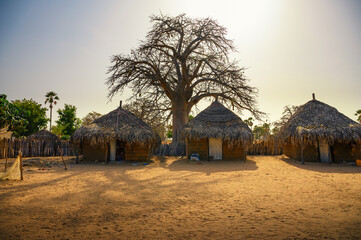 Traditional village houses with a boabab tree in the background, Senegal, Africa